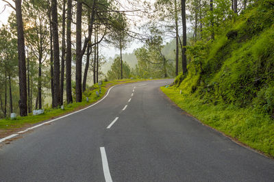 Country road amidst trees in forest