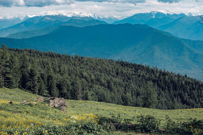 Scenic view of land and altai mountains against sky