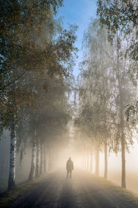 Rear view of man standing on foggy road amidst trees