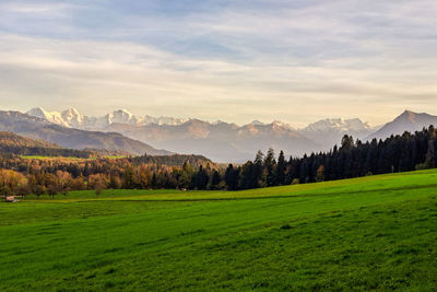 Scenic view of field against sky