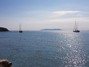 Sailboats sailing in sea against sky