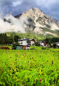 Grassy field against dolomites