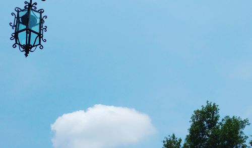 Low angle view of trees against blue sky