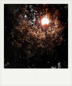 Low angle view of illuminated street light against sky at night