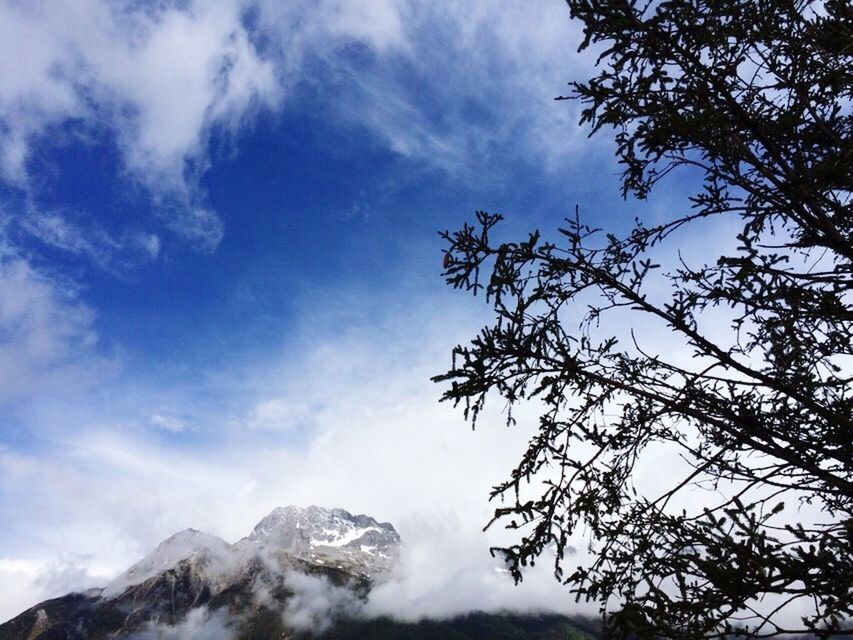 low angle view, sky, mountain, cloud - sky, tree, tranquility, snow, beauty in nature, scenics, nature, winter, tranquil scene, cloudy, cloud, cold temperature, weather, mountain range, day, branch, season