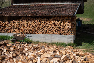 Stack of firewood on field in forest