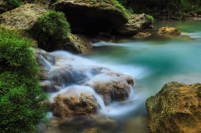 Scenic view of waterfall in forest