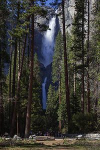 Yosemite national park, california, usa