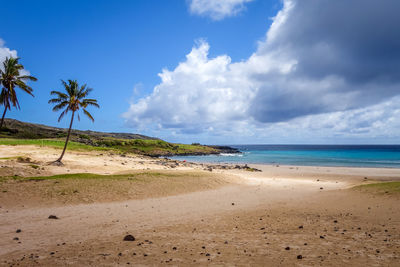 Scenic view of beach against sky