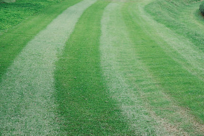 High angle view of green field