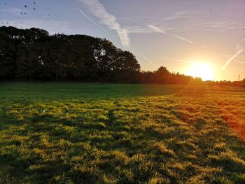 Scenic view of field against sky during sunset