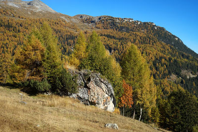 Scenic view of tree mountains against sky