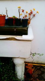 Close-up of plants by water