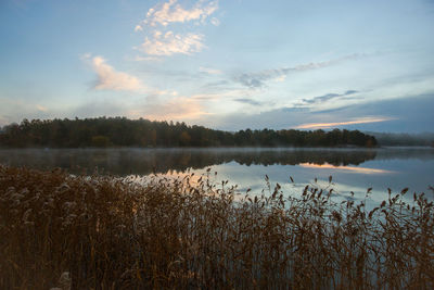 nature