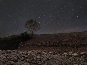 Scenic view of field against sky at night