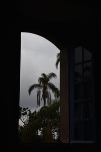 Low angle view of silhouette trees against sky seen through window