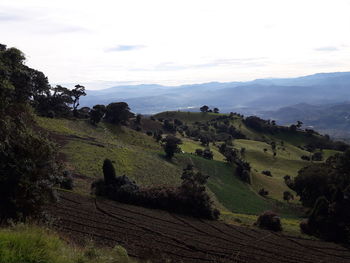 Scenic view of landscape against sky