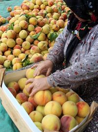 Woman arranging peach in box at market