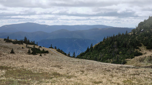 environment