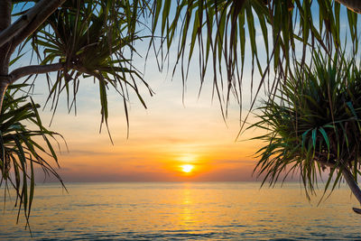 Scenic view of sea against sky at sunset