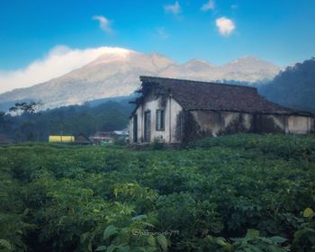 House on field by mountain against sky