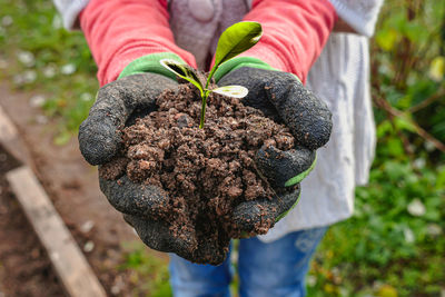 Close-up of hand holding plant