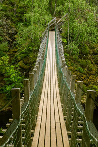 A beautiful hanging bridge in forest of finland