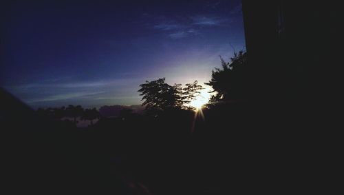 Silhouette of trees at sunset