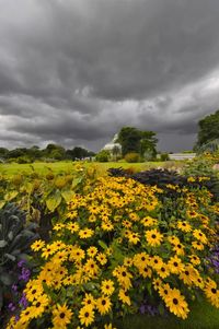 Scenic view of field against cloudy sky