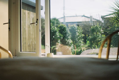 Trees seen through glass window at home