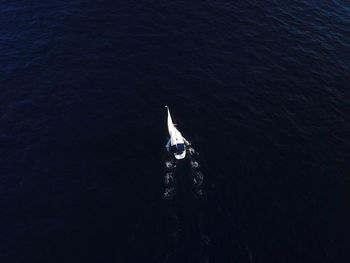 Aerial view of a sailing boat at sea