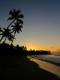 Silhouette palm trees on beach against clear sky at sunset