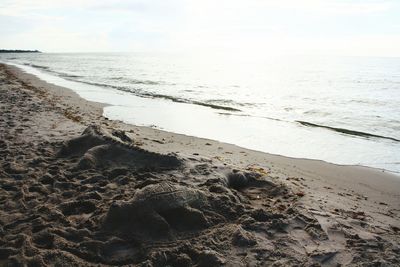 Scenic view of beach