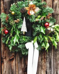 Close-up of christmas tree