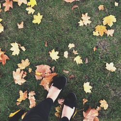 Low section of people standing on grassy field
