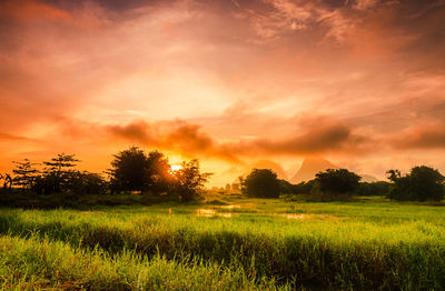 Scenic view of field against sky during sunset