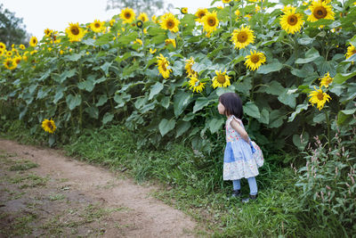 Side view of girl standing by sunflower