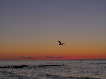 Silhouette bird flying over sea against sky during sunset