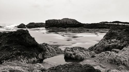 Scenic view of beach against sky