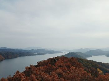 Autumn trees by river against cloudy sky