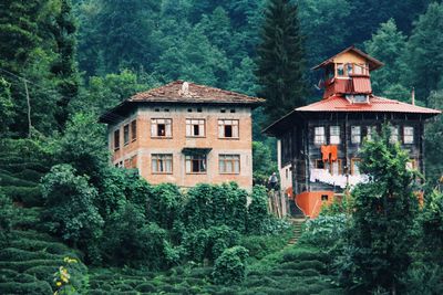 House amidst trees and plants in forest
