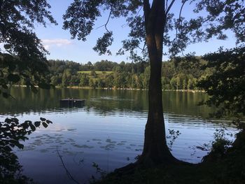 Scenic view of lake in forest against sky