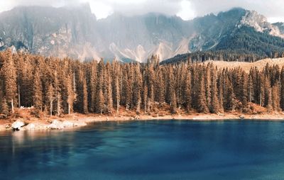 Panoramic view of lake by trees on mountain
