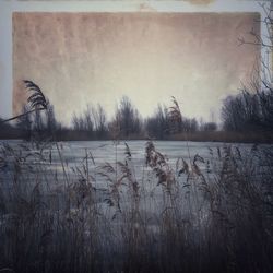 Scenic view of lake against sky during winter