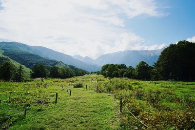 Scenic view of field against sky