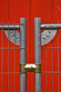 Close-up of red flower