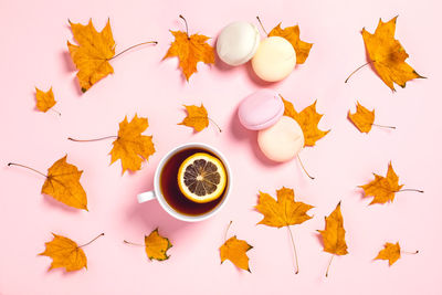 Pink background with cup of tea and slice of lemon, marhmallows and maple leaves.