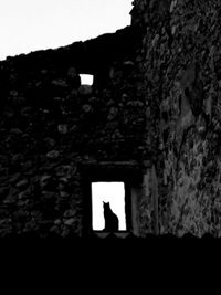 Silhouette of person standing against wall