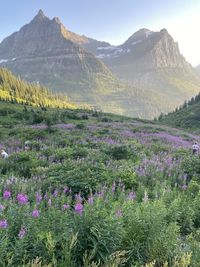 Glacier national park