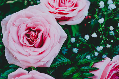 High angle view of rose bouquet